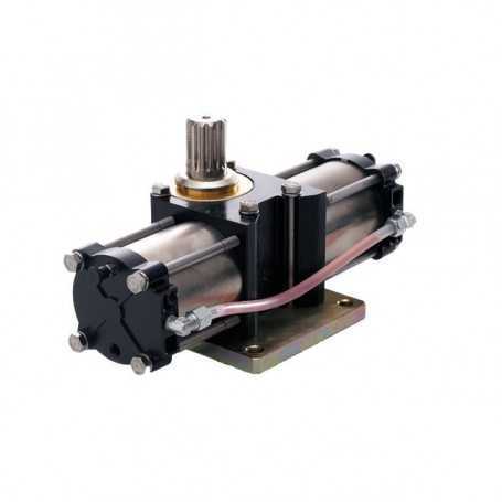 108759 FAAC Martinetto 750 R 100° CP