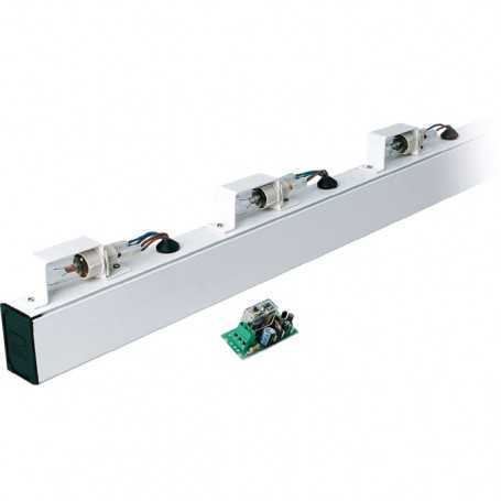 001G0460 CAME Confezione Di 6 Lampade Di Segnalazione 24V G0401